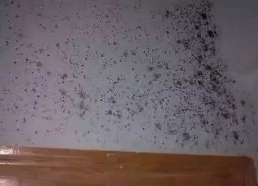 kaiyun.com- 卡利亚里主场草皮翻新，球迷期待新赛季  